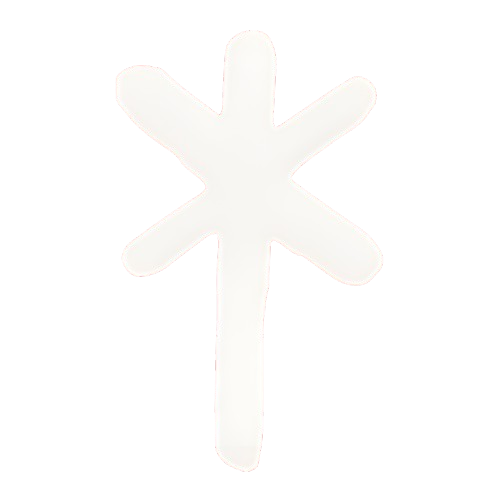 Shina Music Entertainment